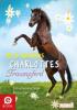 Charlottes Traumpferd 3: Ein unerwarteter Besucher - Nele Neuhaus
