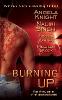 Burning Up - Angela Knight, Nalini Singh, Virginia Kantra, Meljean Brook