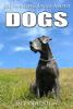 101 Amazing Facts about Dogs - 