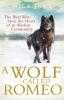 A Wolf Called Romeo - 