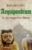 Aequipondium: In der magischen MItte - 