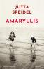 Amaryllis - 