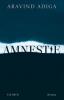 Amnestie - 