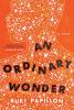 An Ordinary Wonder - 