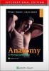 Anatomy - 