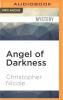 Angel of Darkness - 