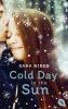 Cold Day in the Sun - 