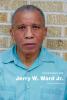 Conversations with Jerry W. Ward Jr. - 