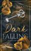 Dark Falling - Lichter der Zukunft - 