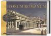 Das Forum Romanum - 