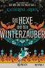 Die Hexe und der Winterzauber - 