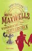 Doktor Maxwells wunderliches Zeitversteck - 