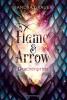 Flame & Arrow, Band 1: Drachenprinz - 