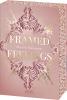 Framed Feelings (Golden Hearts, Band 1) - 