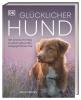 Glücklicher Hund - 