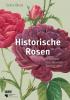 Historische Rosen - 