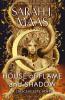 House of Flame and Shadow - 