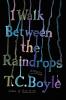 I Walk Between the Raindrops - 