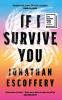 If I Survive You - 