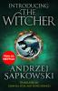 Introducing The Witcher - 