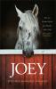 Joey - Wie ein blindes Pferd uns Wunder sehen ließ - 