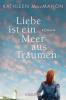 Liebe im Zeichen des Nordlichts - 