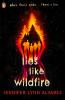 Lies Like Wildfire - 