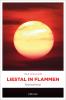Liestal in Flammen - 