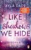 Like Shadows We Hide - 