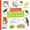 Mein kleines buntes Bildwörterbuch: Tiere im Park und im Garten - 