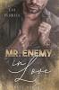 Mr. Enemy in Love - 