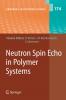 Neutron Spin Echo in Polymer Systems - 