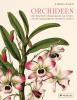 Orchideen - 