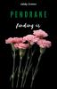 Pendrake 3- finding us - 