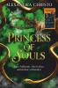 Princess of Souls - 
