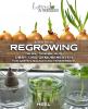 Regrowing –  Neue Triebe aus Obst- und Gemüseresten - 