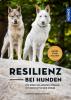 Resilienz bei Hunden - 