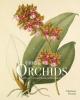 RHS Orchids - 