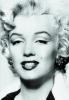 Silver Marilyn. Marilyn Monroe und die Kamera - 