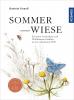 Sommerwiese - 