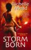 Storm Born - 