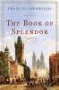 The Book of Splendor: A Novel - 