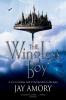 The Wingless Boy - 