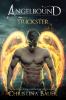 Trickster (Angelbound Lincoln, #3) - 