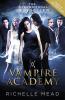 Vampire Academy (book 1) - 