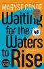 Waiting for the Waters to Rise - 