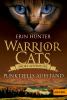Warrior Cats - Short Adventure - Punktfells Aufstand - 