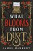 What Blooms from Dust - 