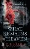 What Remains of Heaven - 