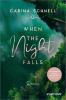 When the Night Falls - 